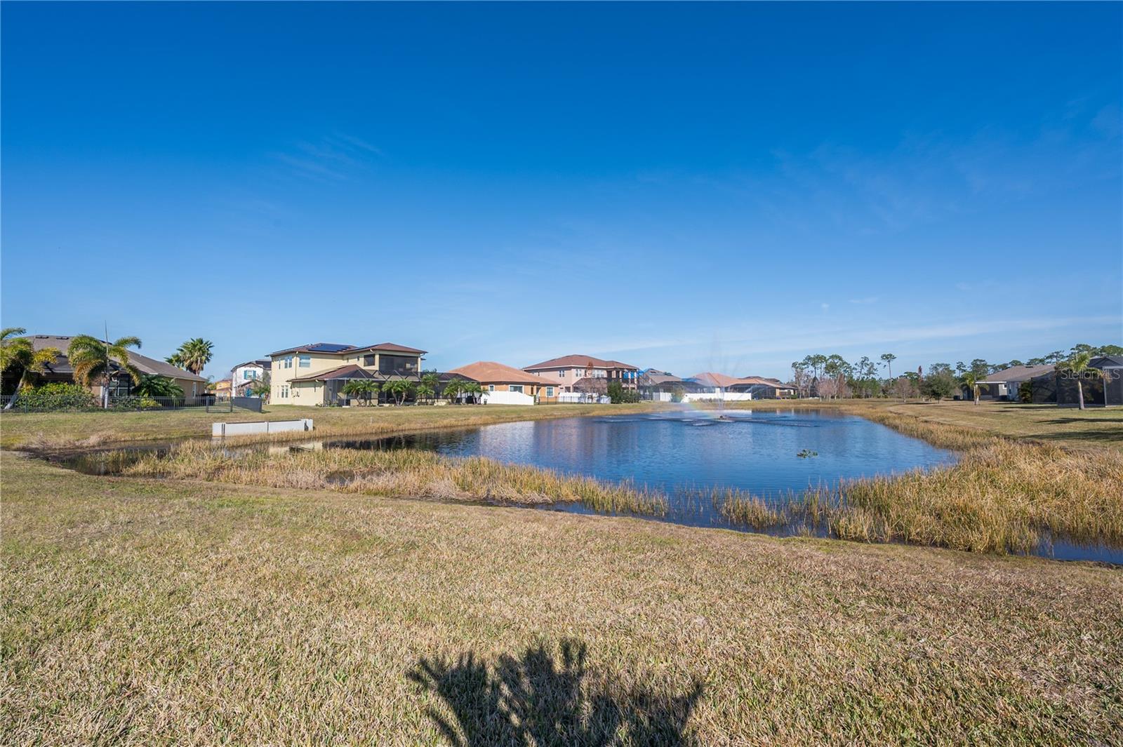 13305 WATERLEAF GARDEN CIR, RIVERVIEW, FL, 33579