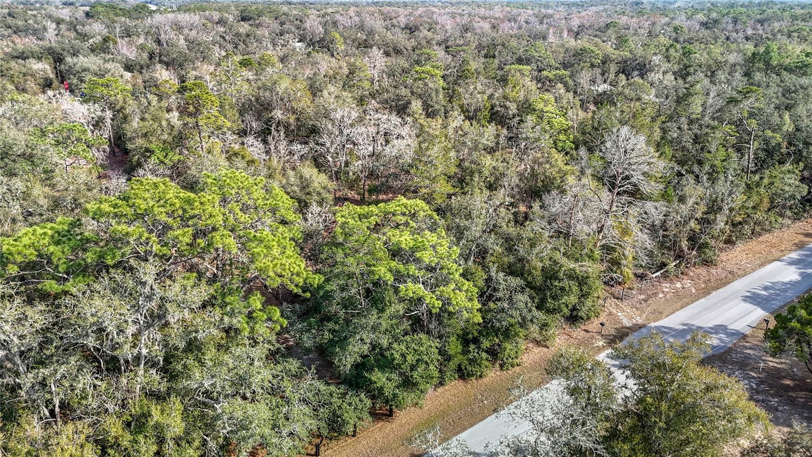 5284 PIKEVIEW RD, DADE CITY, FL, 33523