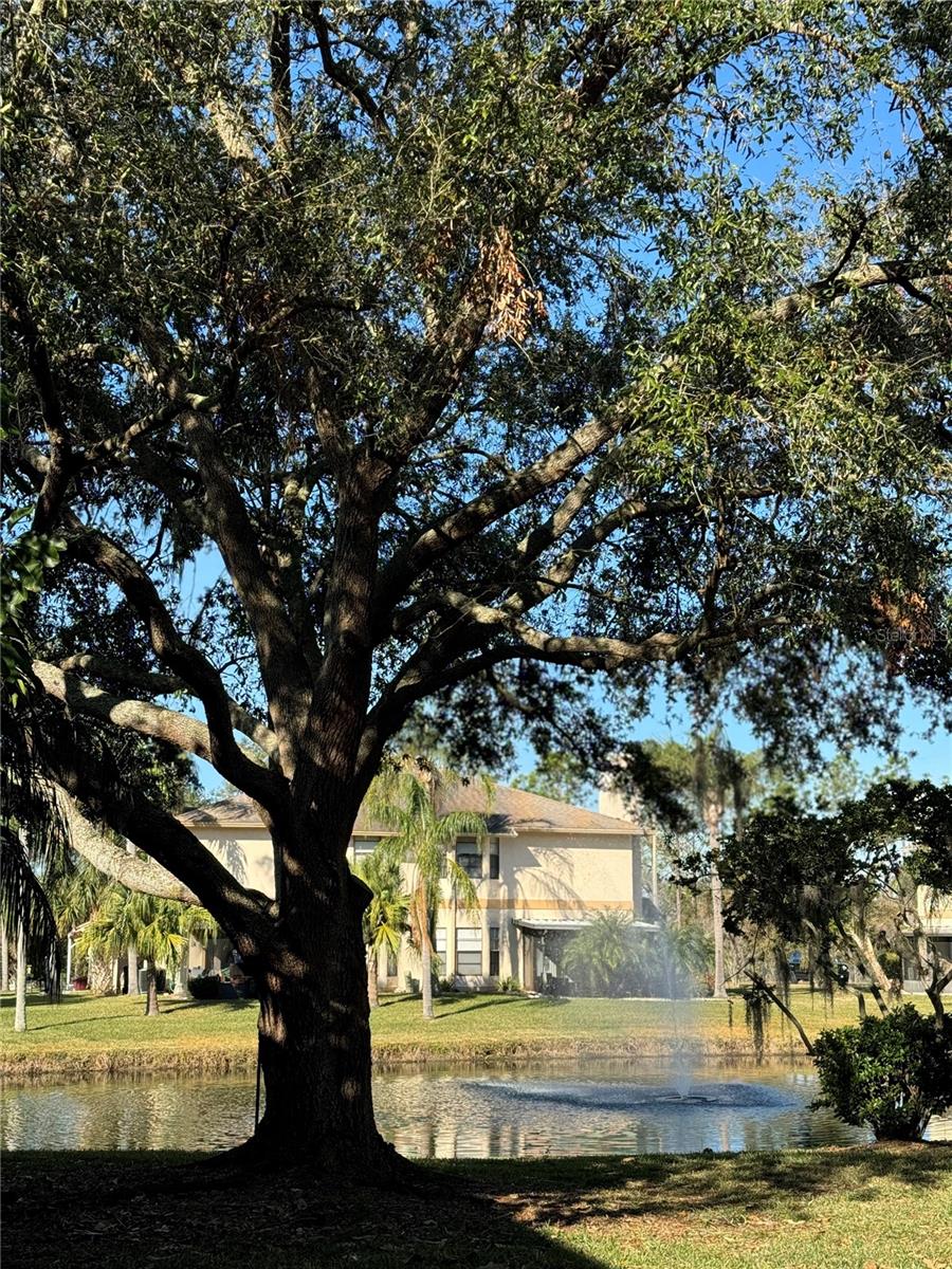 44 EMERALD BAY DR, OLDSMAR, FL, 34677