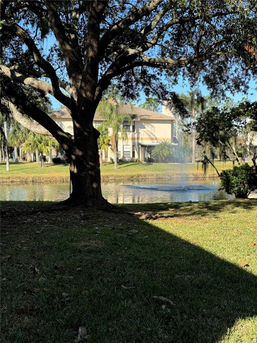 44 EMERALD BAY DR, OLDSMAR, FL, 34677