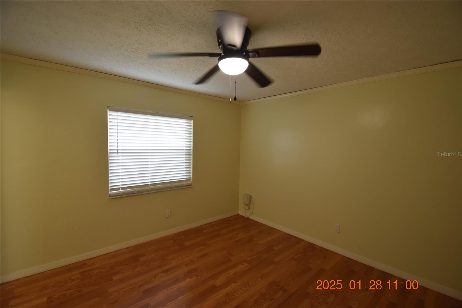 106 JEFFREY DR, BRANDON, FL, 33511