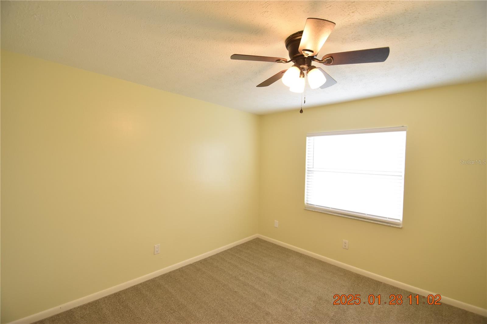 106 JEFFREY DR, BRANDON, FL, 33511