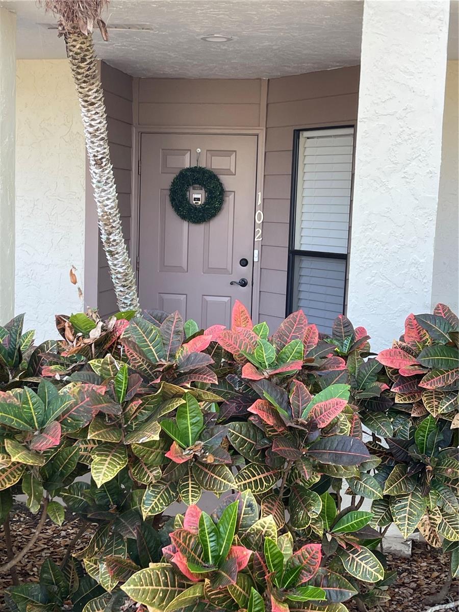 772 BIRD BAY DR N #102, VENICE, FL, 34285