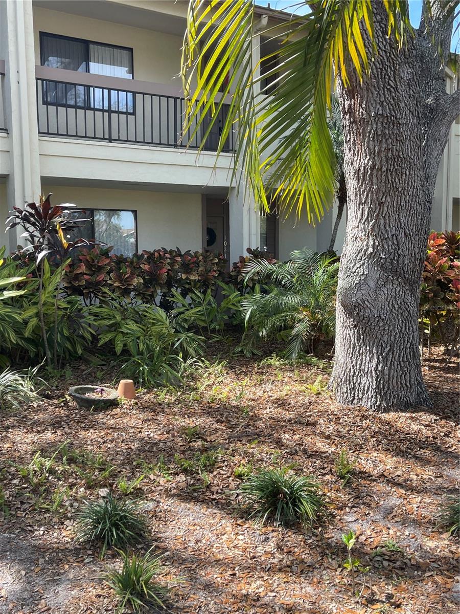 772 BIRD BAY DR N #102, VENICE, FL, 34285