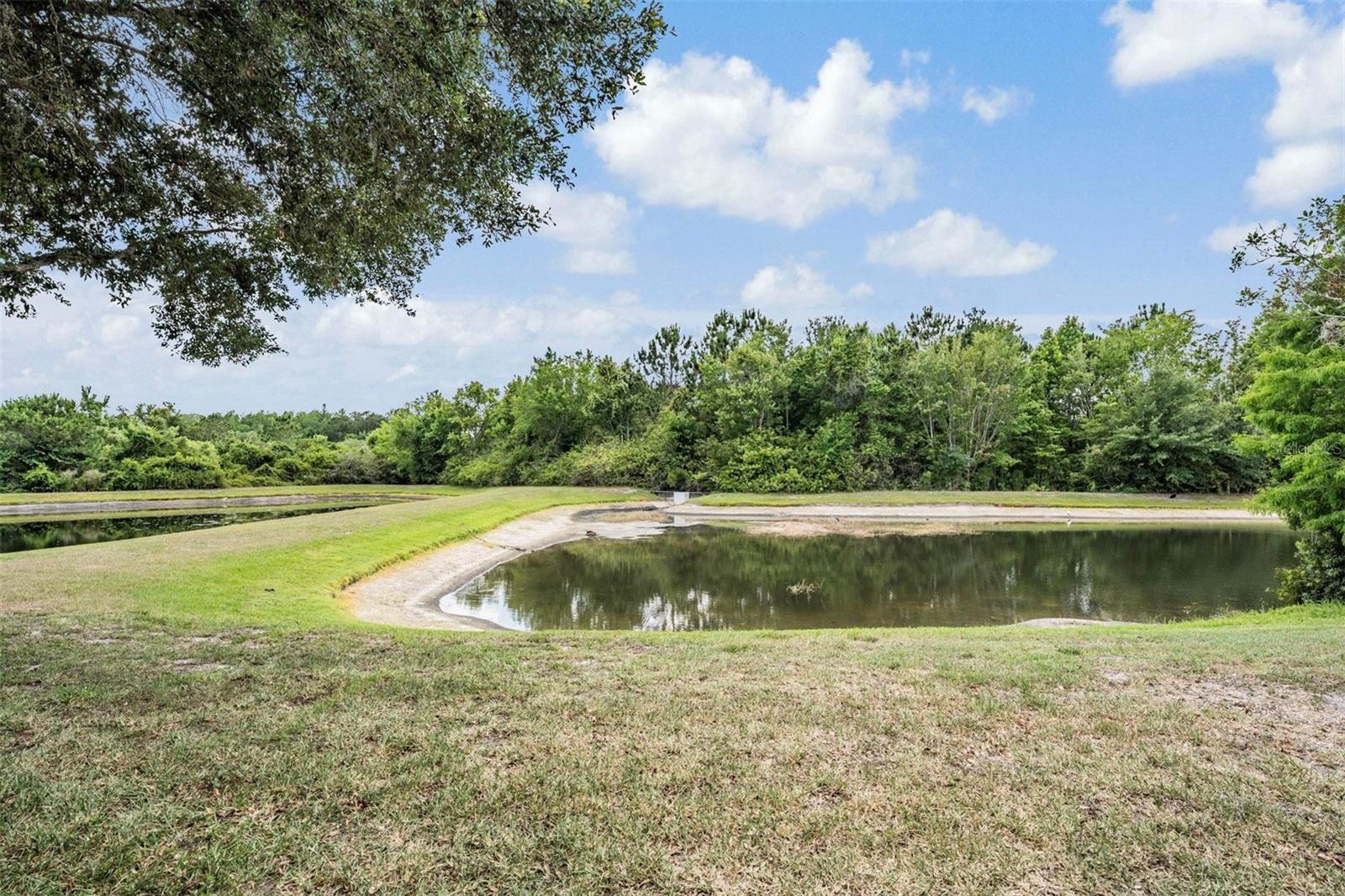 26914 JUNIPER BAY DR, WESLEY CHAPEL, FL, 33544