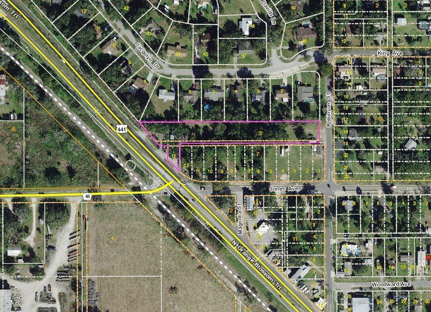 3259 N ORANGE BLOSSOM TRL, MOUNT DORA, FL, 32757