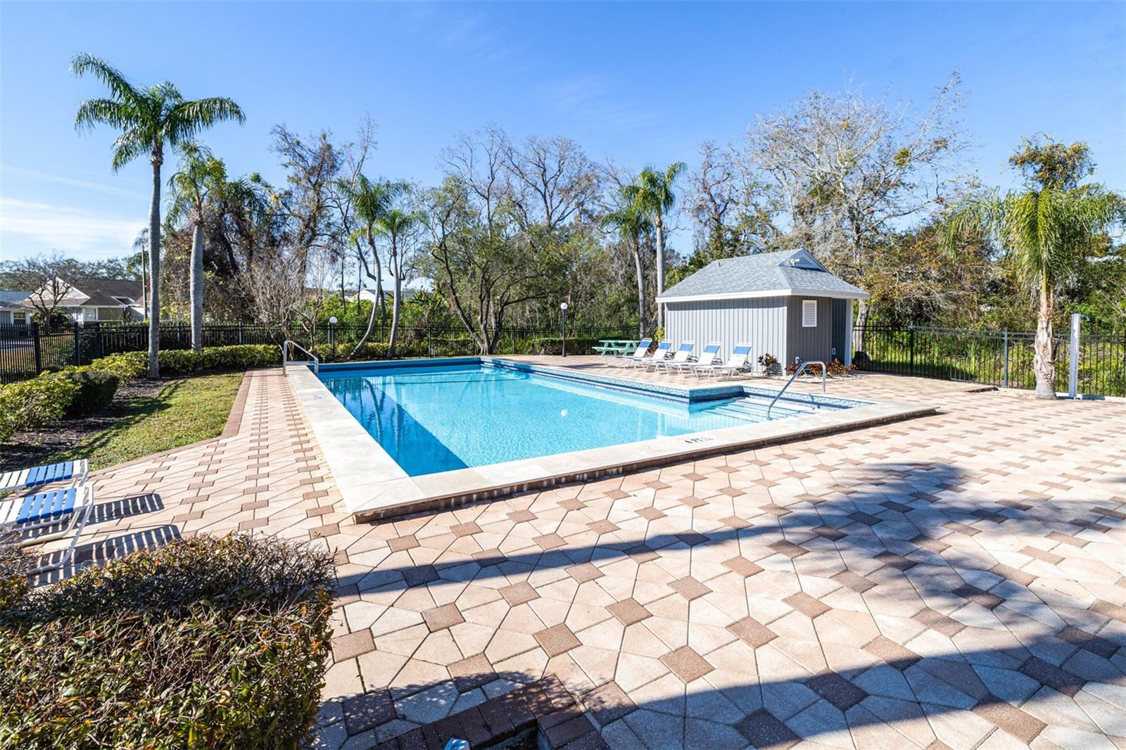 354 IXORA DR, PALM HARBOR, FL, 34684
