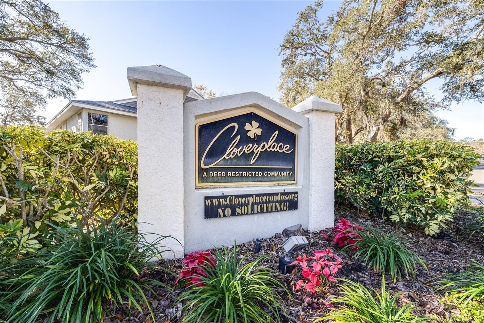 354 IXORA DR, PALM HARBOR, FL, 34684