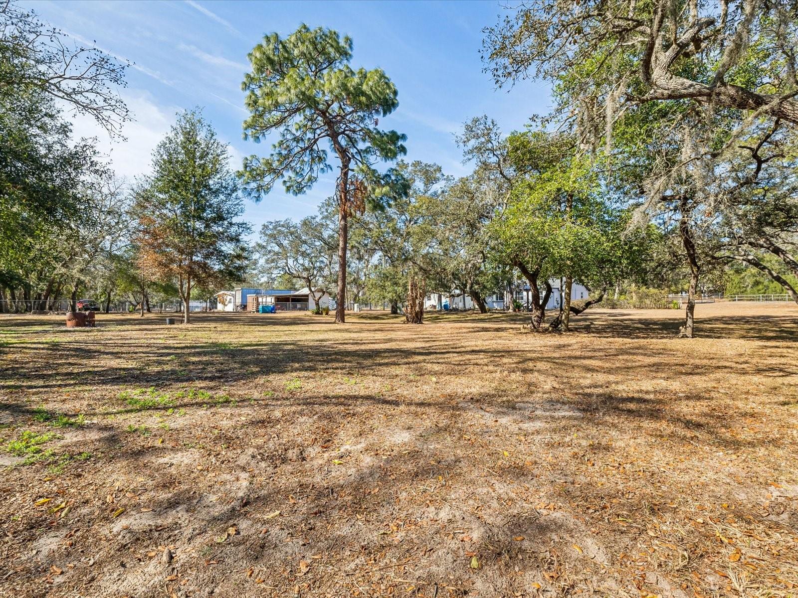 17750 OXENHAM AVE, SPRING HILL, FL, 34610