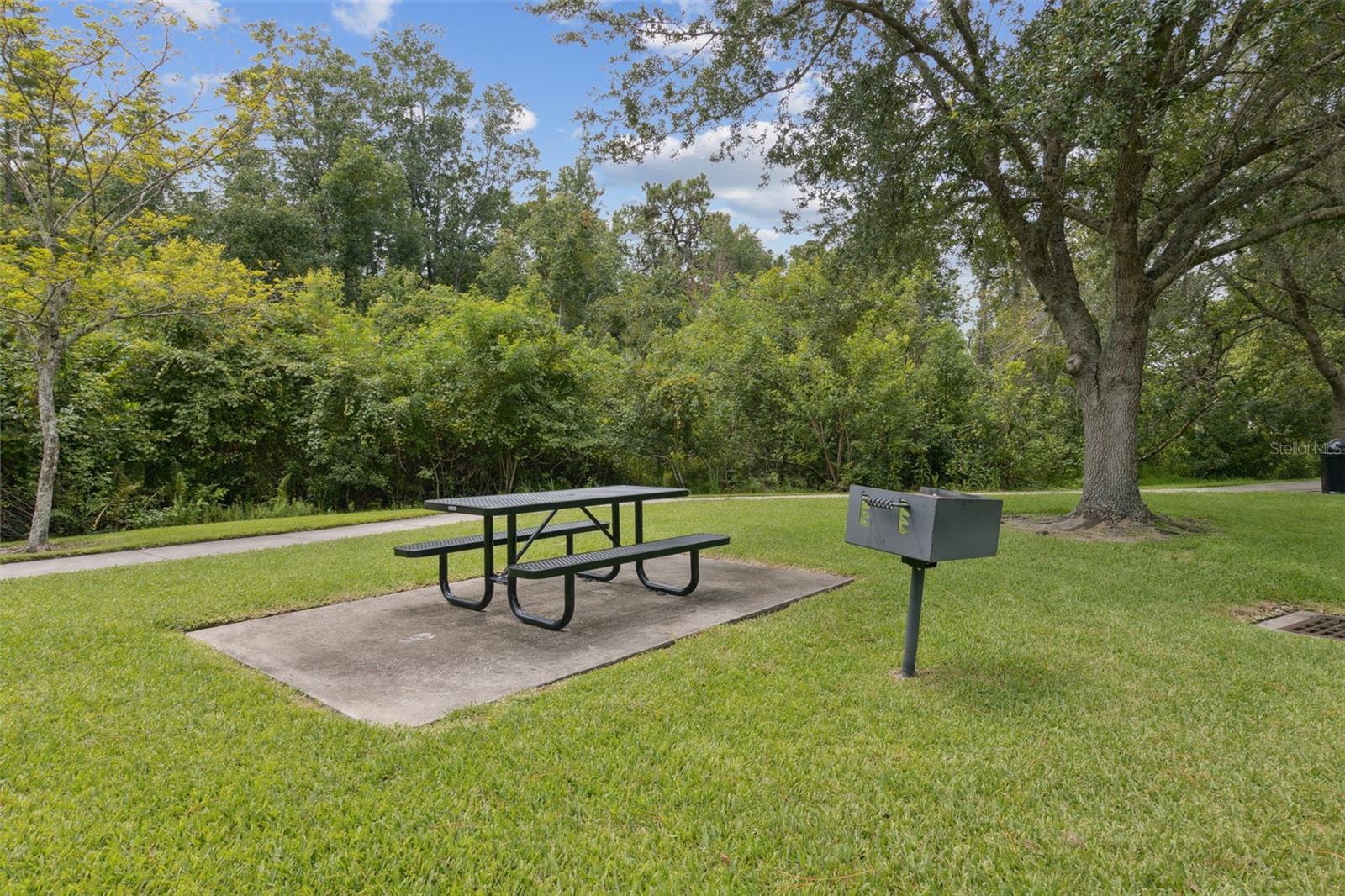 11815 PETHRICK DR, ORLANDO, FL, 32824