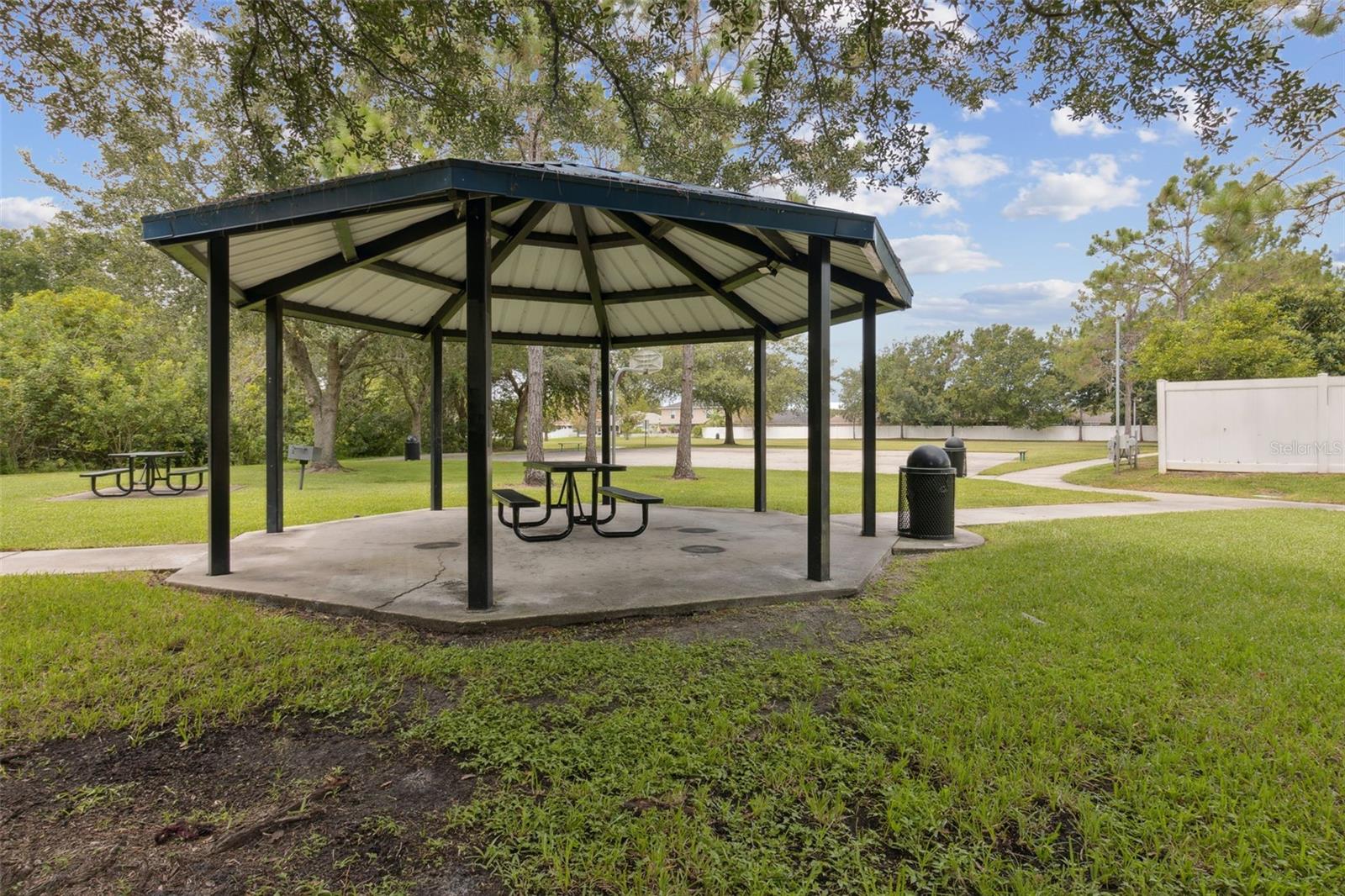 11815 PETHRICK DR, ORLANDO, FL, 32824