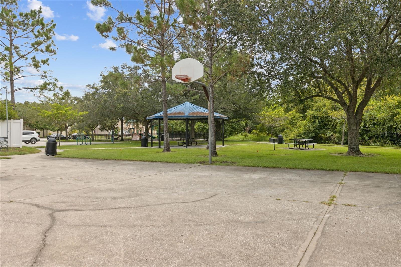 11815 PETHRICK DR, ORLANDO, FL, 32824