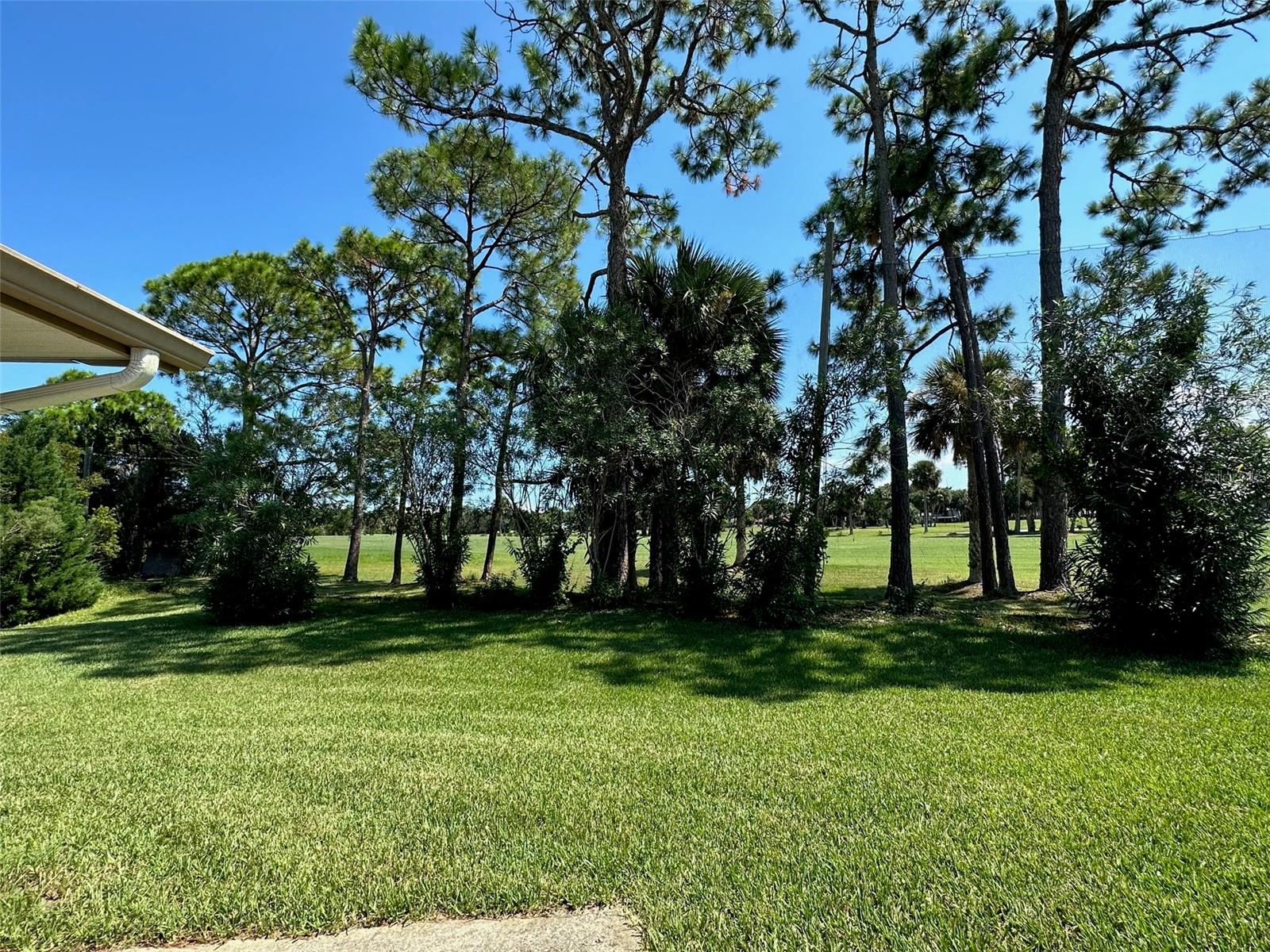 238 GOLF CLUB DR, NEW SMYRNA BEACH, FL, 32168