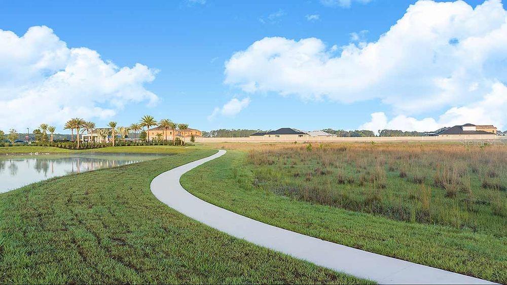 2071 HALLIER CV, WESLEY CHAPEL, FL, 33543