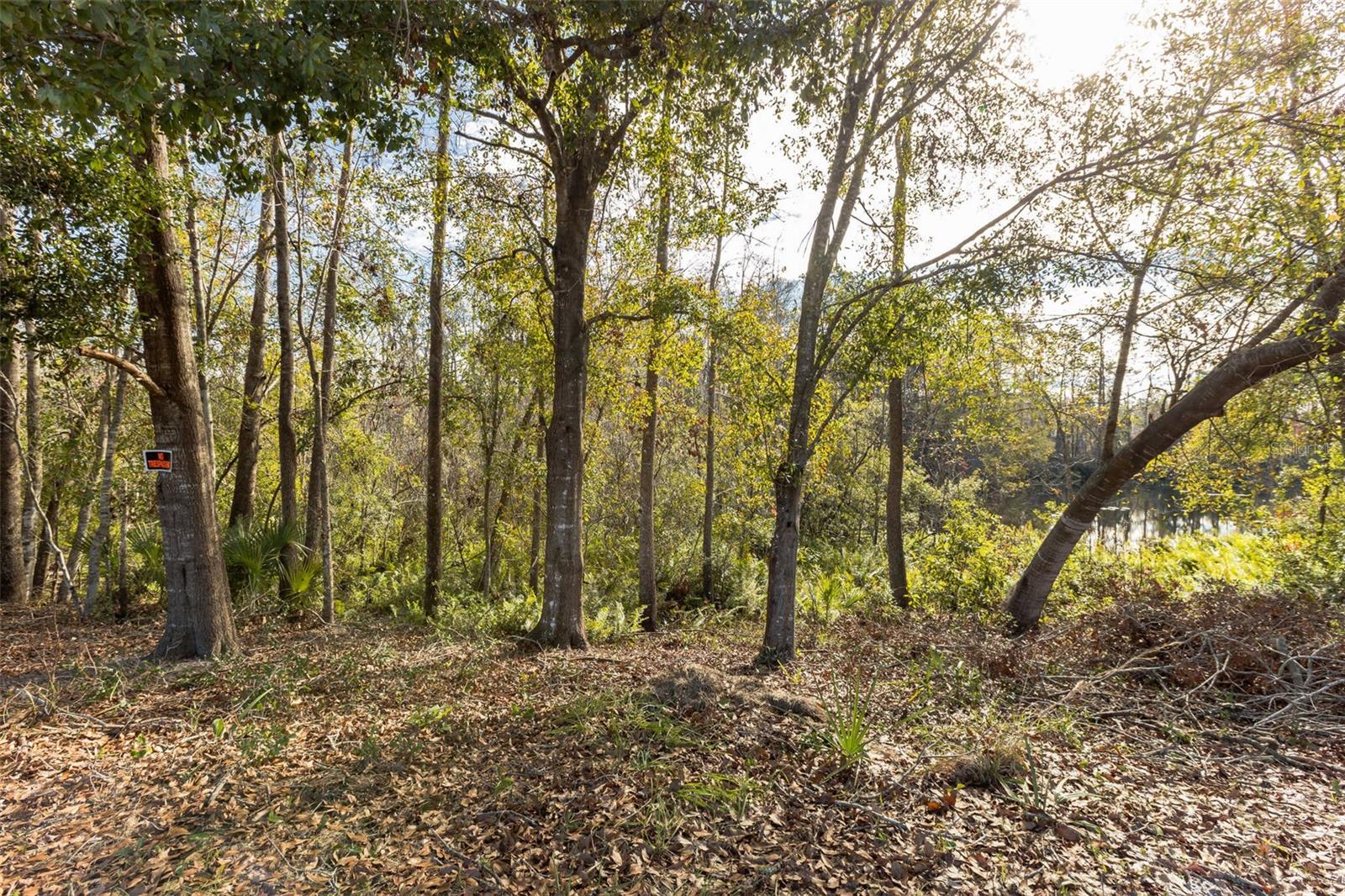 Lot 13 EAGLE BLVD, LAND O LAKES, FL, 34639