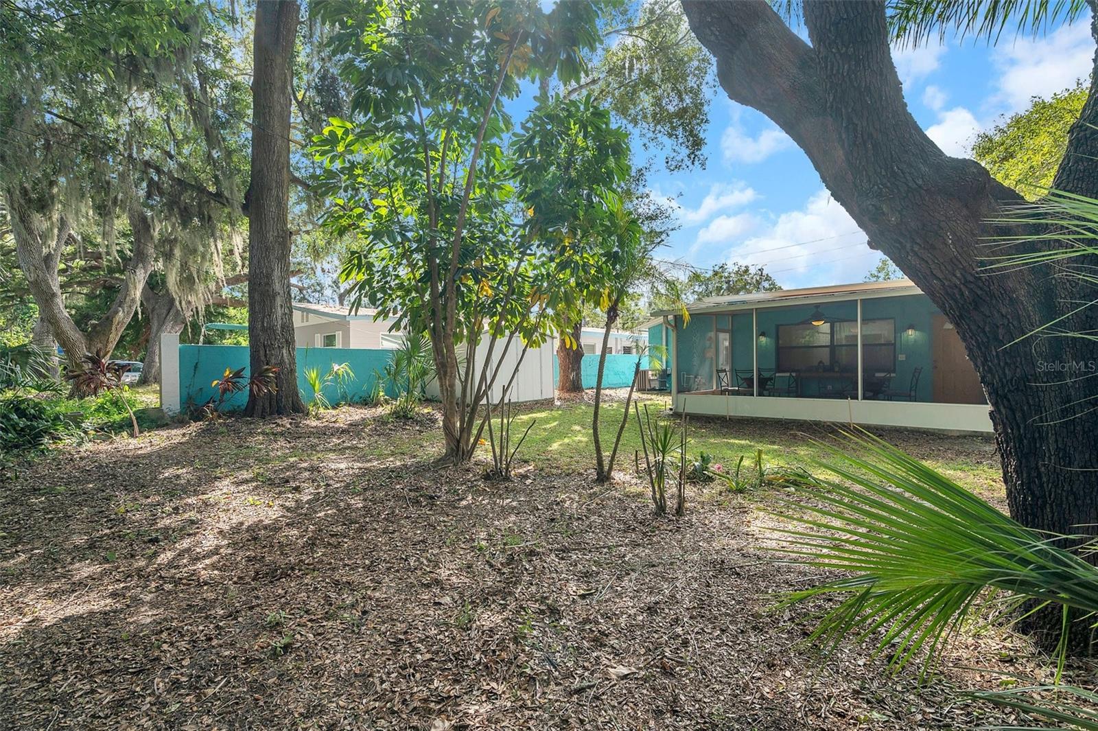 717 CAROLINA AVE, TARPON SPRINGS, FL, 34689