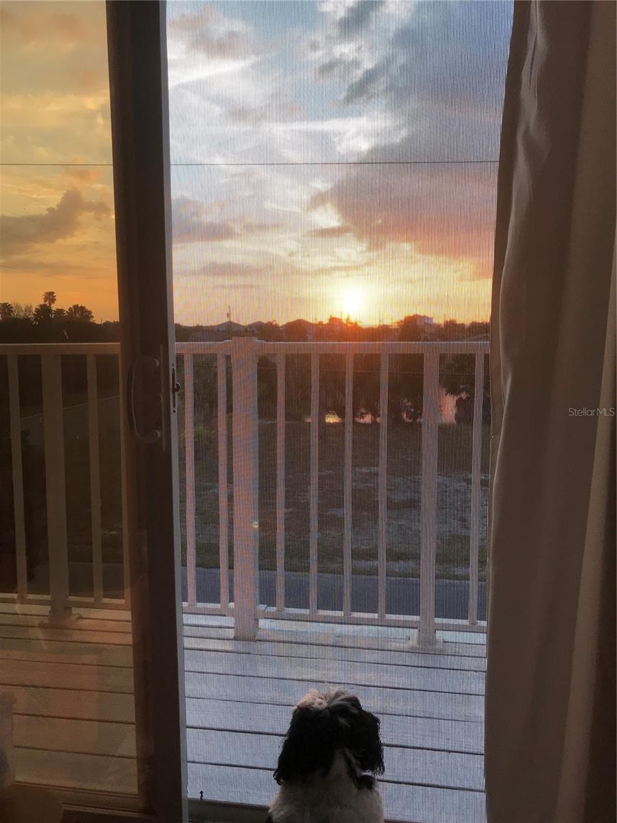 3308 OLEANDER DR, HERNANDO BEACH, FL, 34607