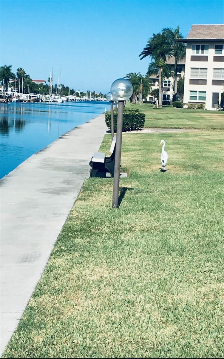 4555 MARINE PKWY #103, NEW PORT RICHEY, FL, 34652