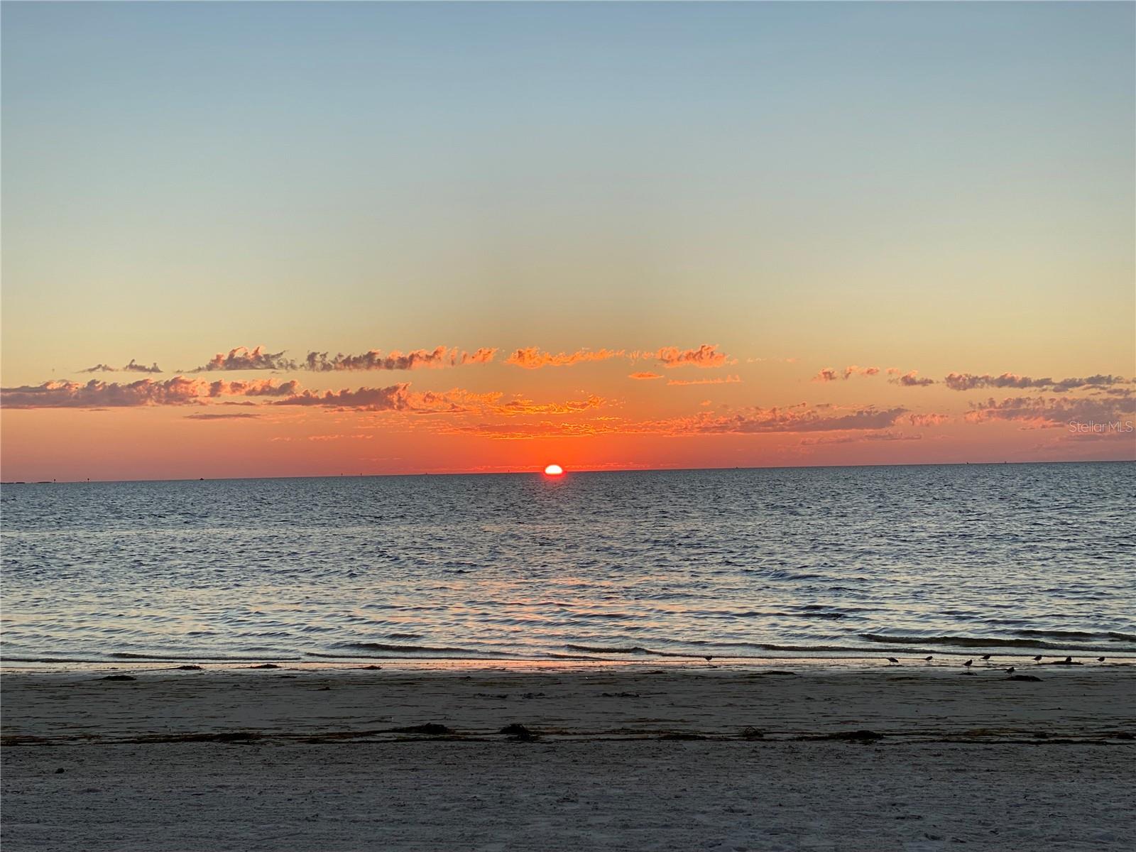 4555 MARINE PKWY #103, NEW PORT RICHEY, FL, 34652