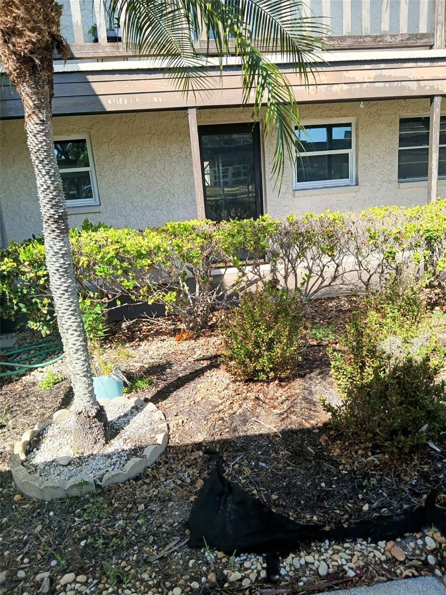 4555 MARINE PKWY #103, NEW PORT RICHEY, FL, 34652