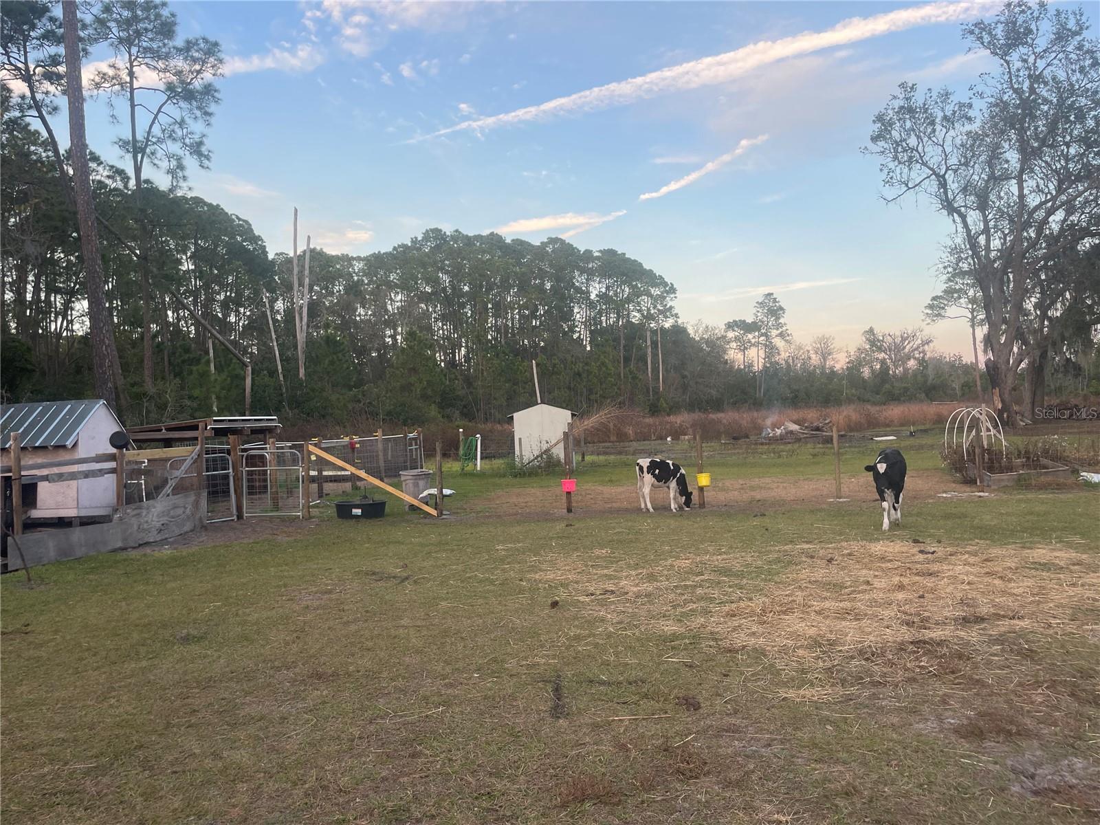 8809 TREASURE ISLAND RD, LEESBURG, FL, 34788
