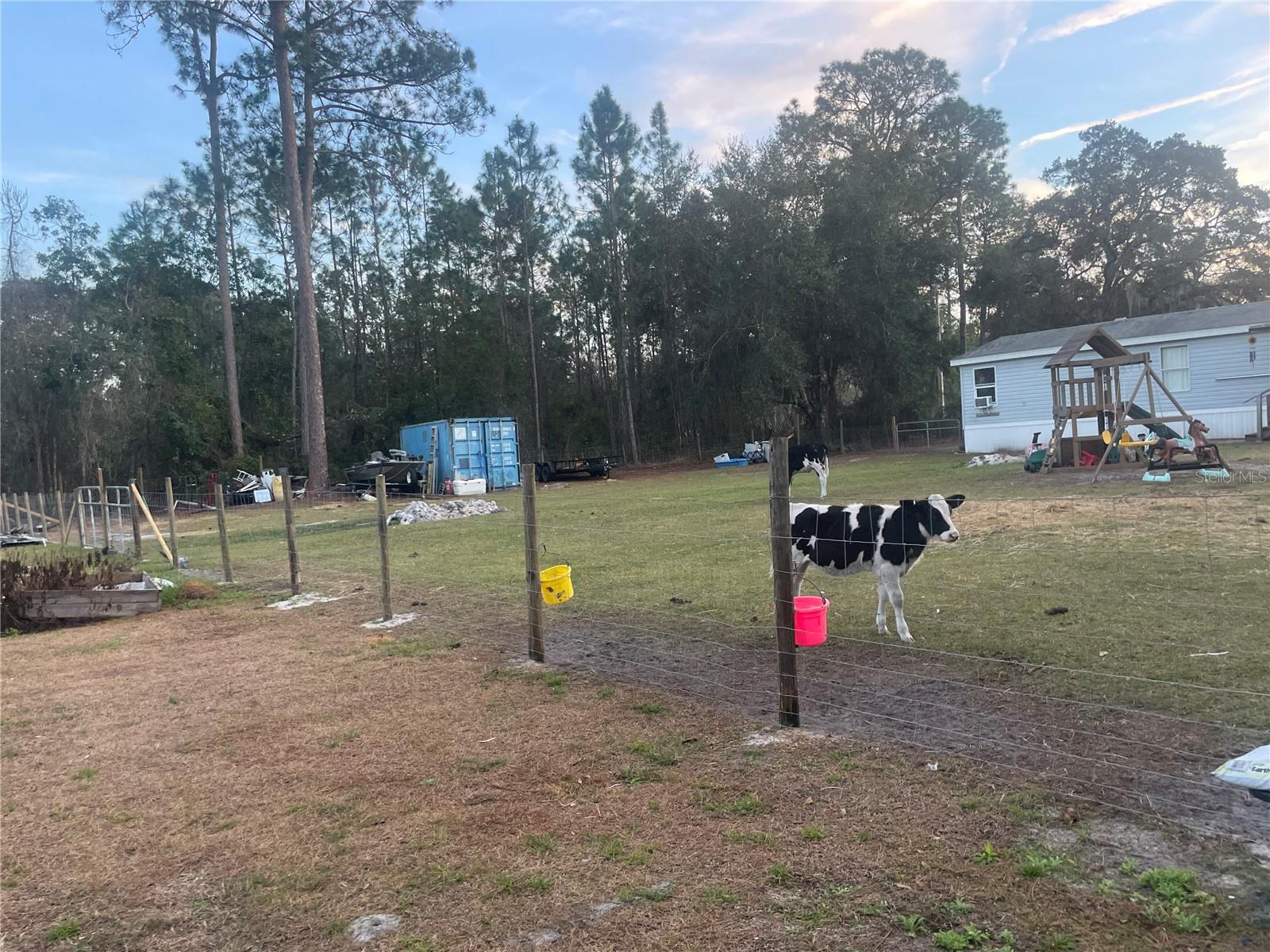 8809 TREASURE ISLAND RD, LEESBURG, FL, 34788