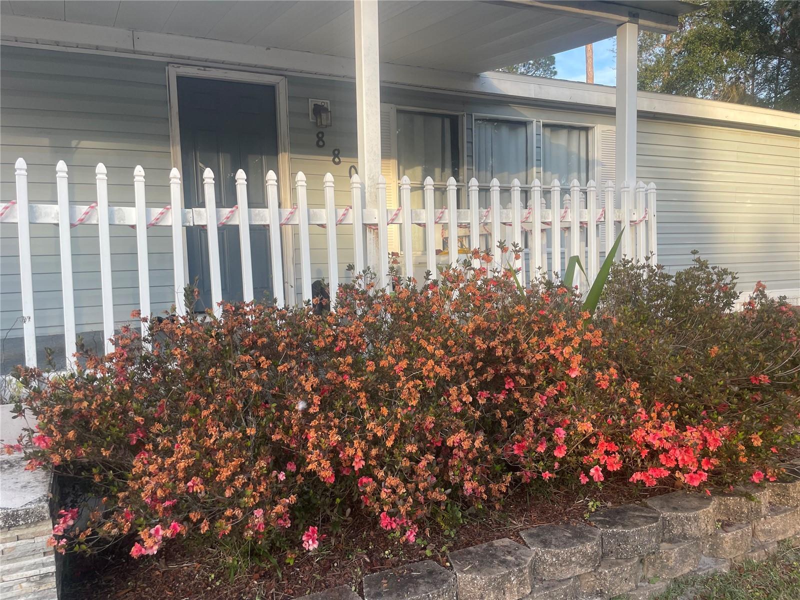 8809 TREASURE ISLAND RD, LEESBURG, FL, 34788
