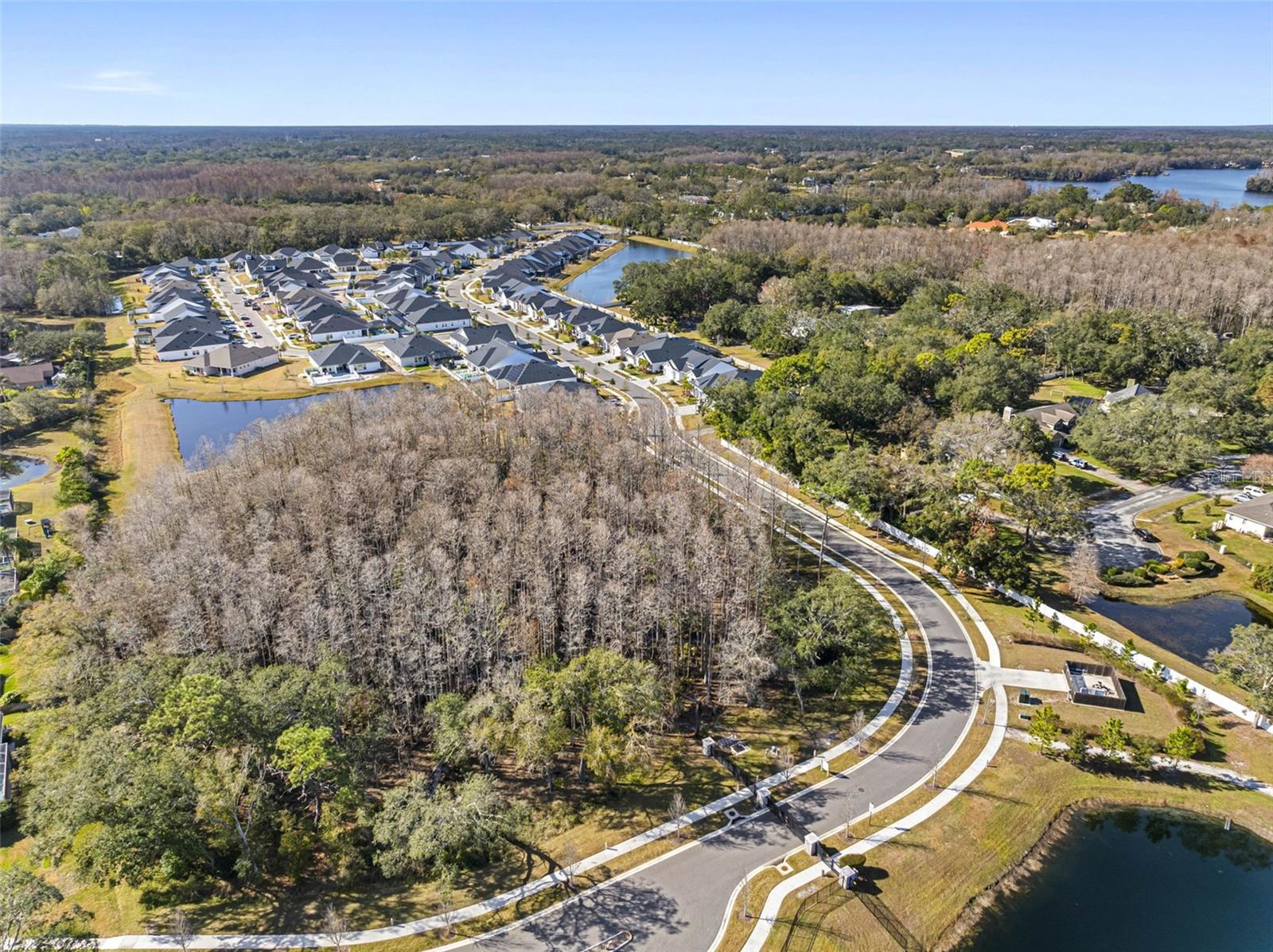 6210 NIKKI LN, ODESSA, FL, 33556