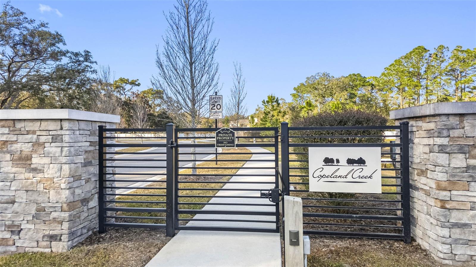 6210 NIKKI LN, ODESSA, FL, 33556