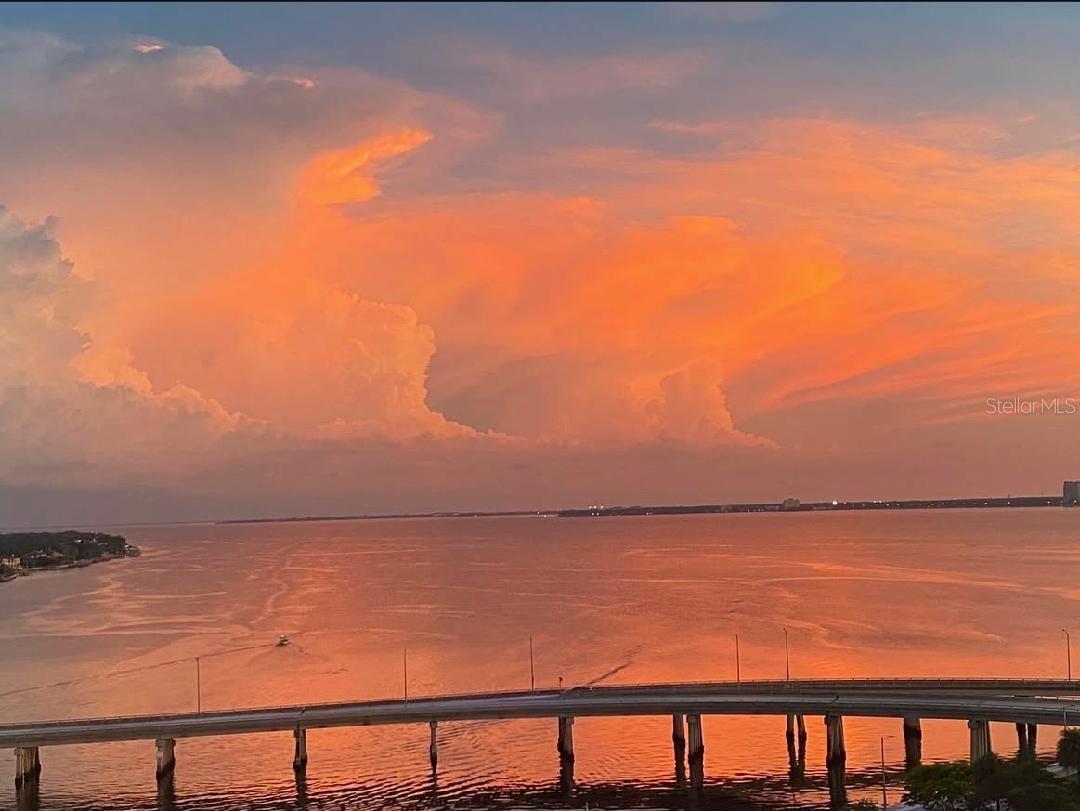 345 BAYSHORE BLVD #1203, TAMPA, FL, 33606