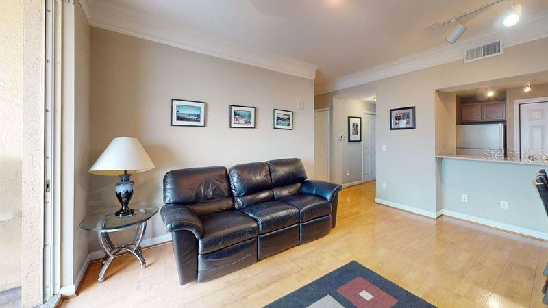 345 BAYSHORE BLVD #1203, TAMPA, FL, 33606