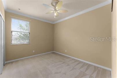 13912 CAYWOOD POND DR, WINDERMERE, FL, 34786