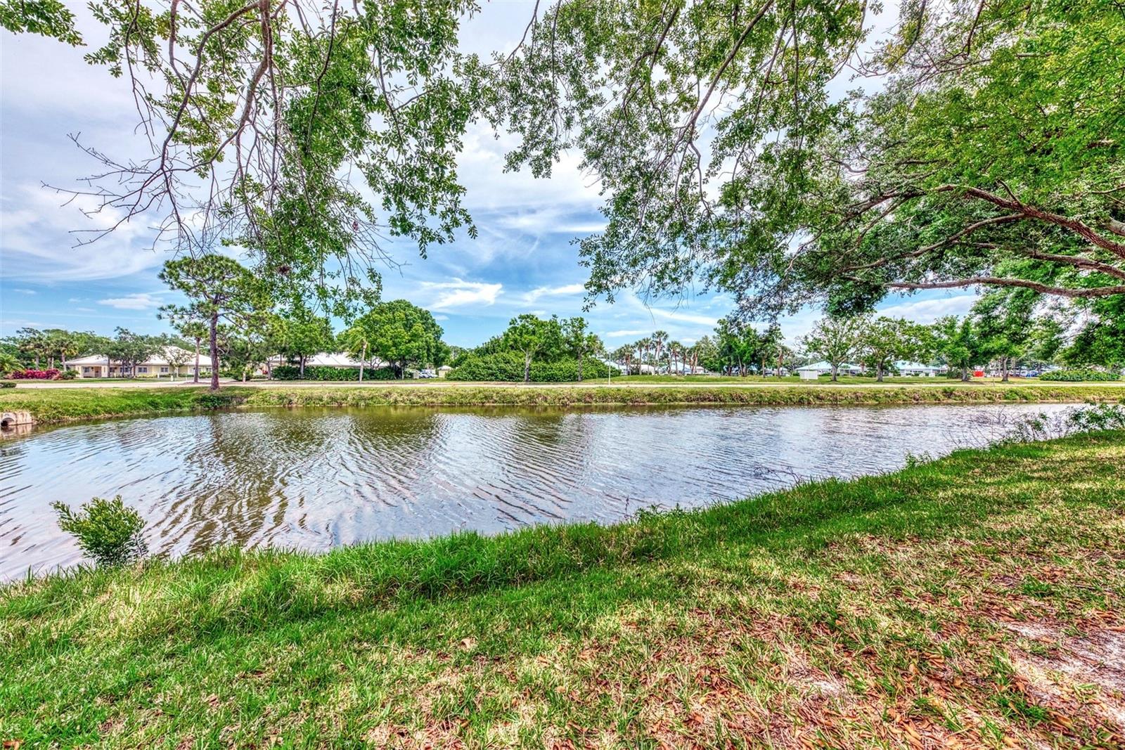 335 PEMBROKE LN S #229, VENICE, FL, 34293