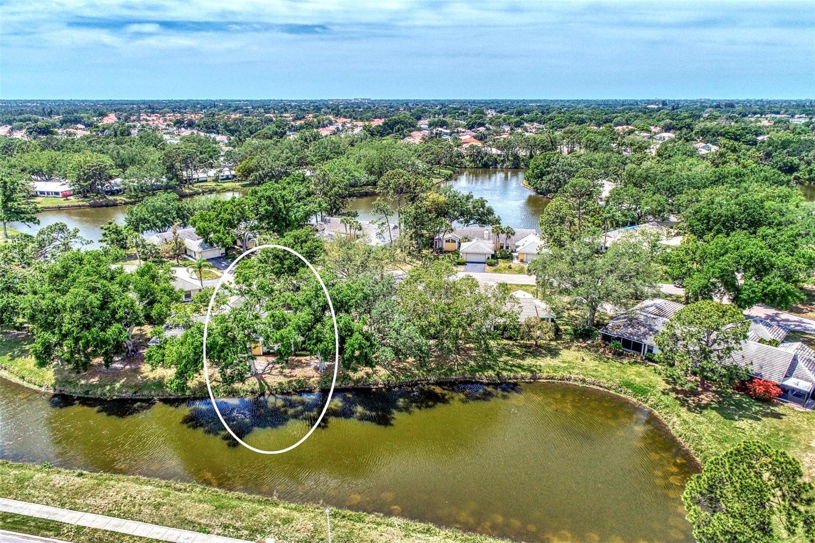 335 PEMBROKE LN S #229, VENICE, FL, 34293