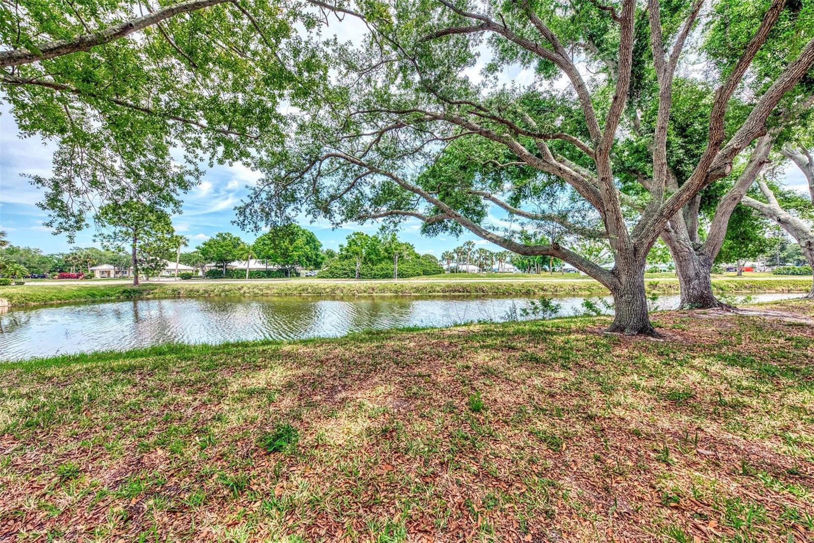 335 PEMBROKE LN S #229, VENICE, FL, 34293