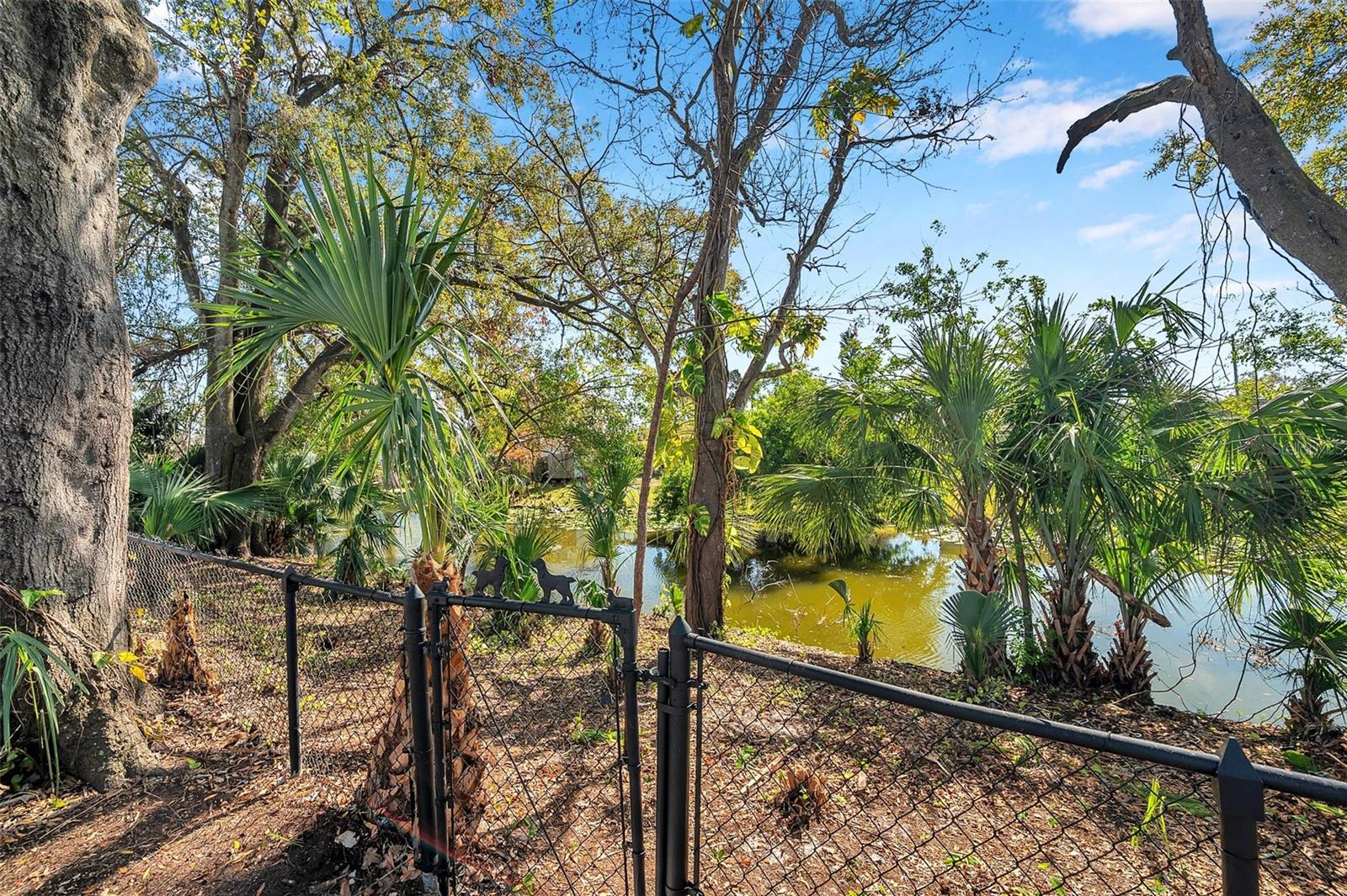 6629 TRAVIS BLVD, TAMPA, FL, 33610