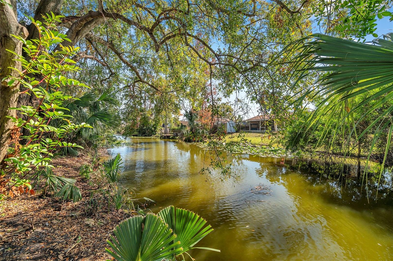 6629 TRAVIS BLVD, TAMPA, FL, 33610