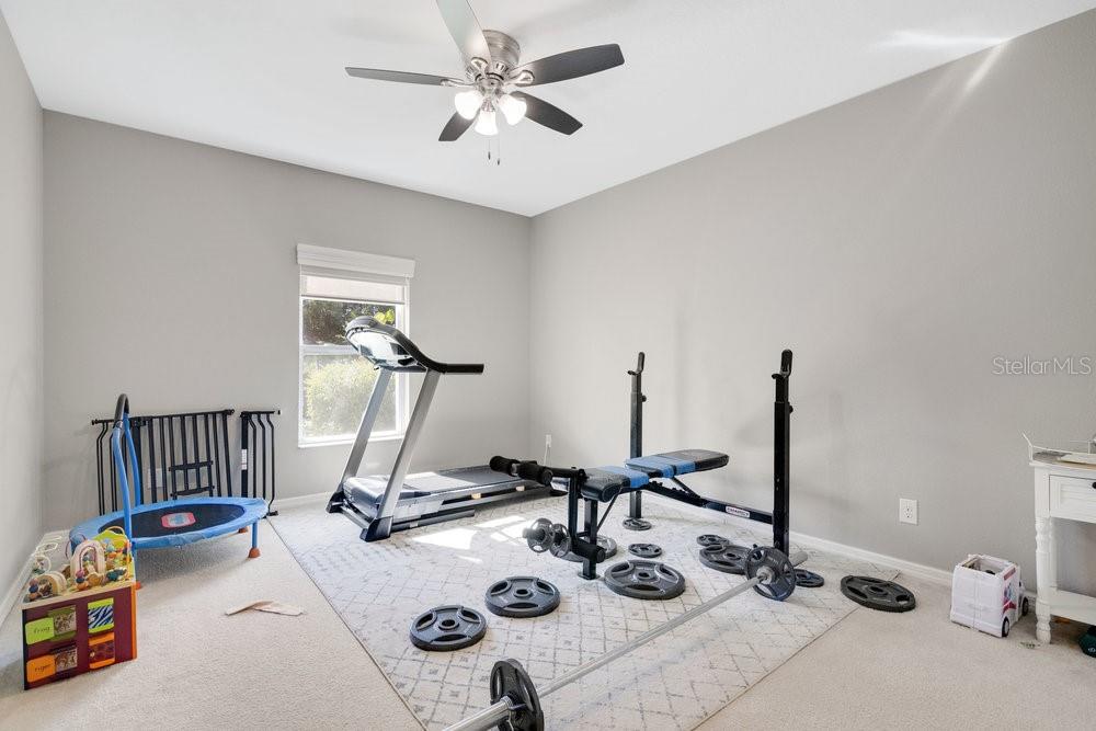 445 KESTREL DR, GROVELAND, FL, 34736