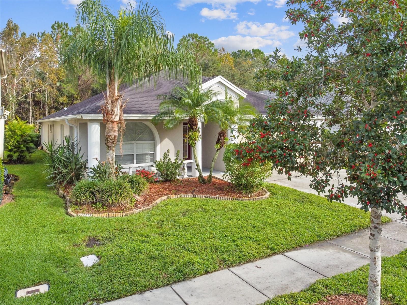 3100 SUNWATCH DR, WESLEY CHAPEL, FL, 33544