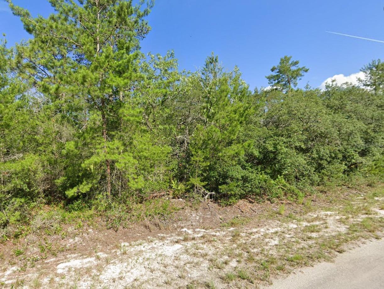 MALAUKA PASS, OCKLAWAHA, FL, 32179