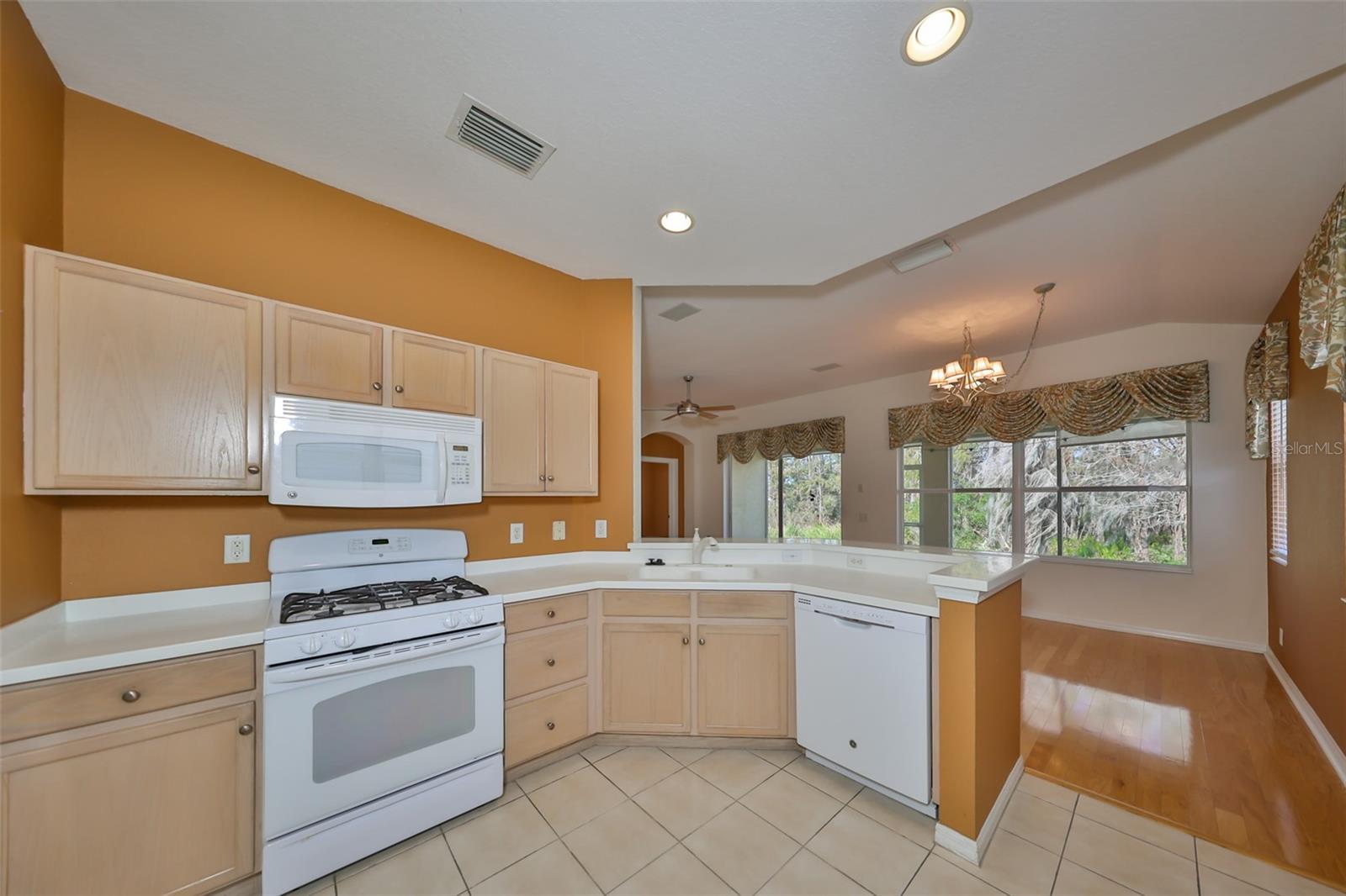 1123 EMERALD DUNES DR, SUN CITY CENTER, FL, 33573