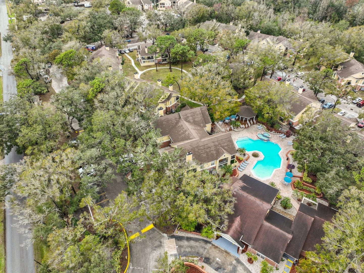 8609 MALLARD RESERVE DR #103, TAMPA, FL, 33614