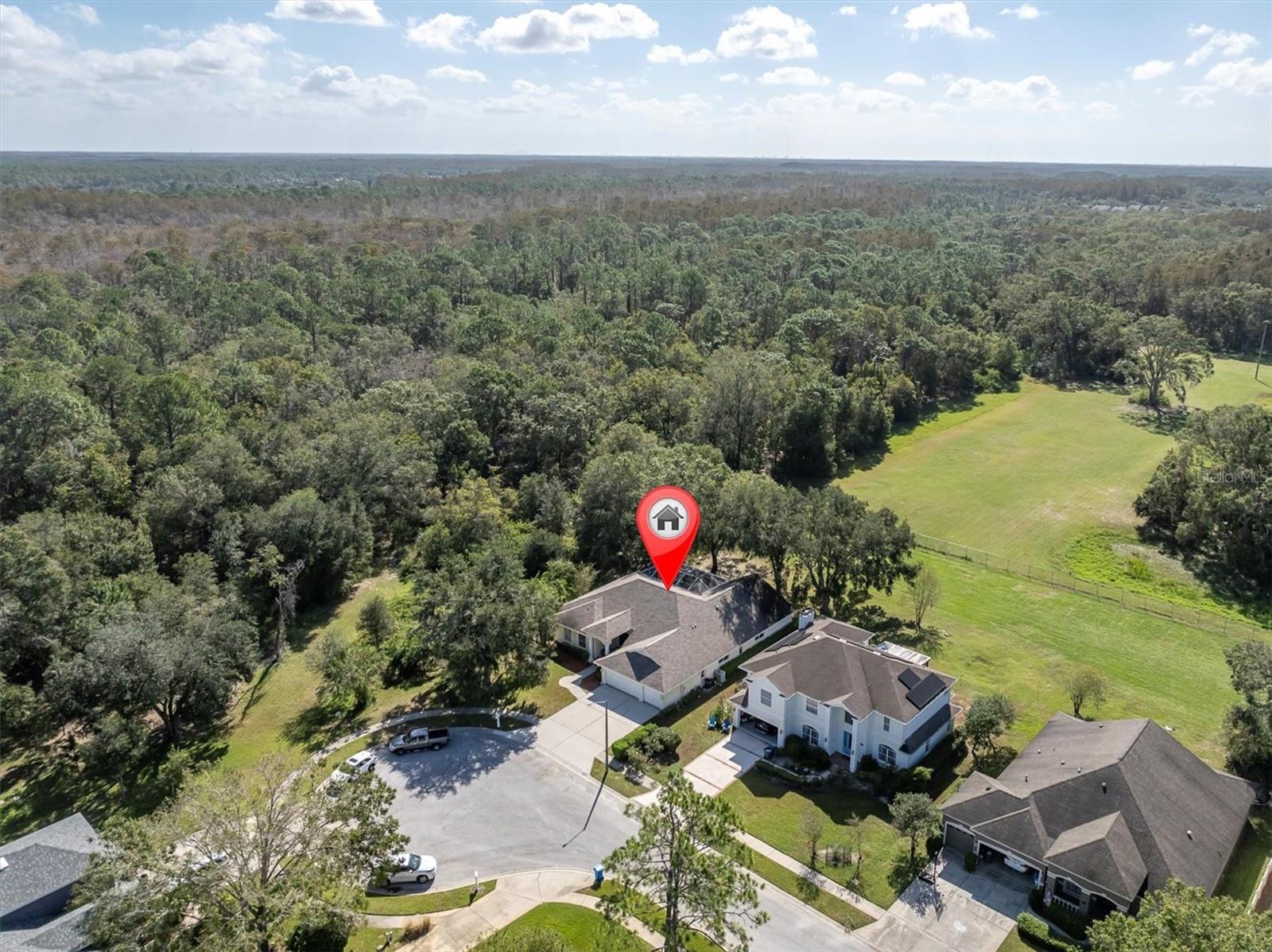 4996 FELECITY WAY, PALM HARBOR, FL, 34685