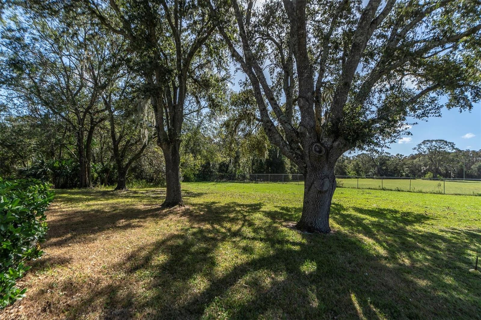 4996 FELECITY WAY, PALM HARBOR, FL, 34685