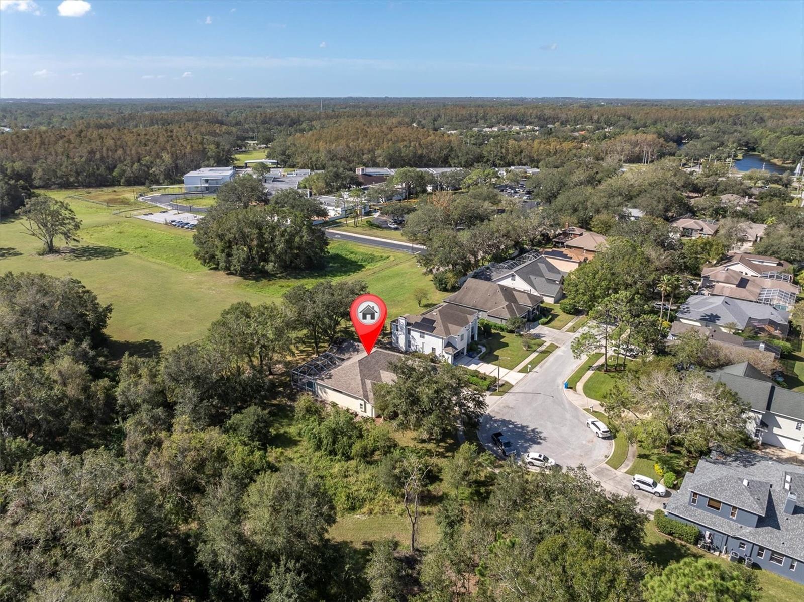 4996 FELECITY WAY, PALM HARBOR, FL, 34685