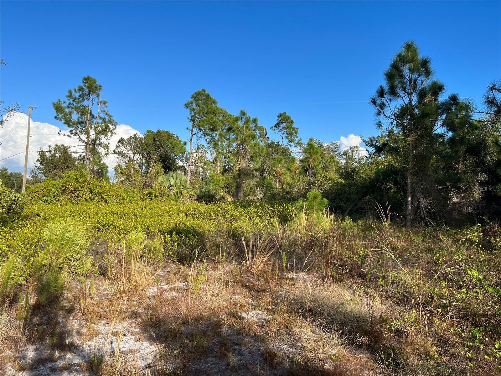 2250 SULSTONE DR, PUNTA GORDA, FL, 33983