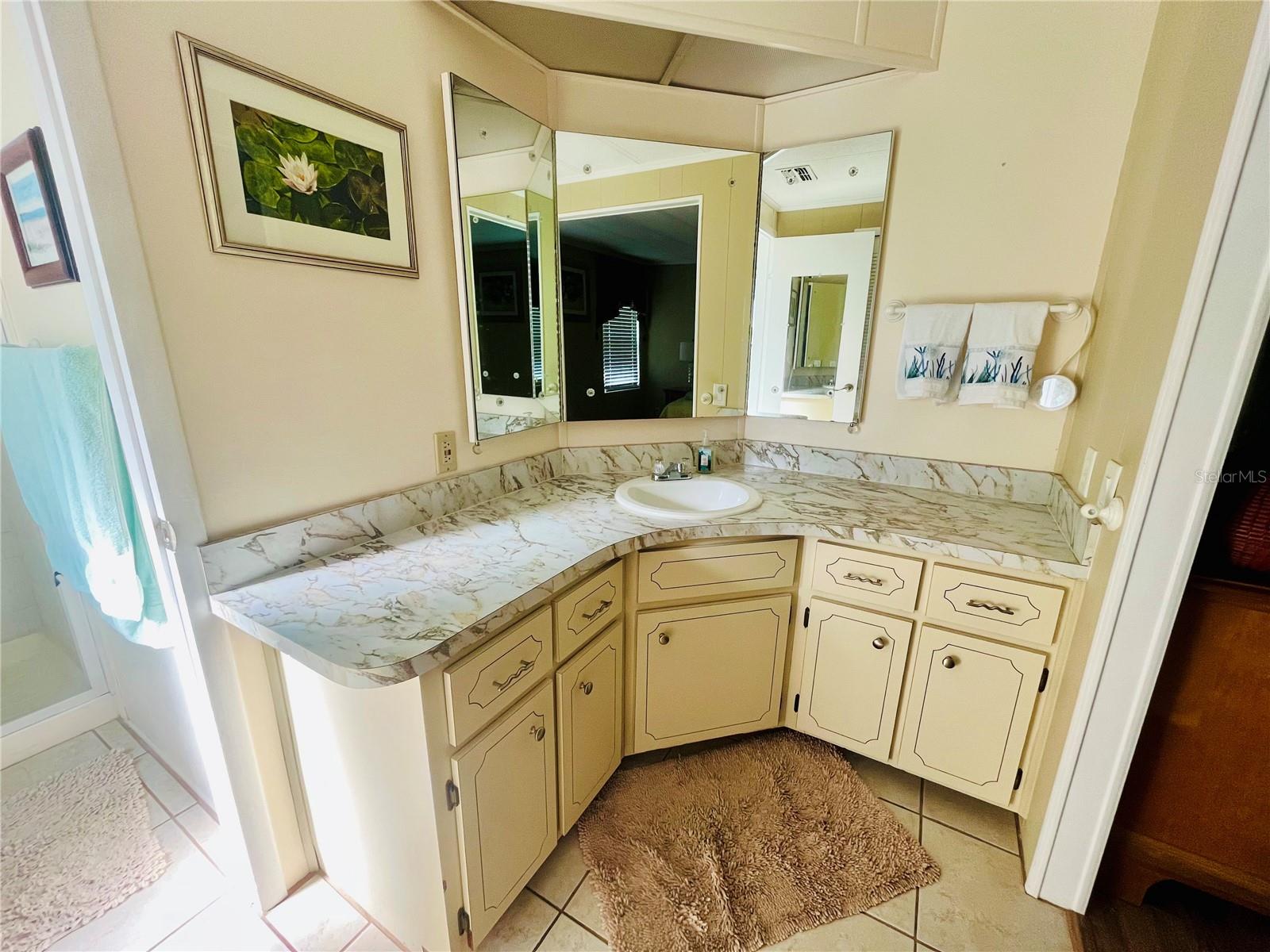 211 PINEBARK DR, PALM HARBOR, FL, 34684