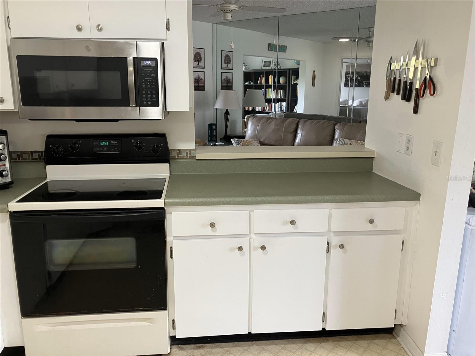 407 LAKE POINT CT #4E, SUN CITY CENTER, FL, 33573