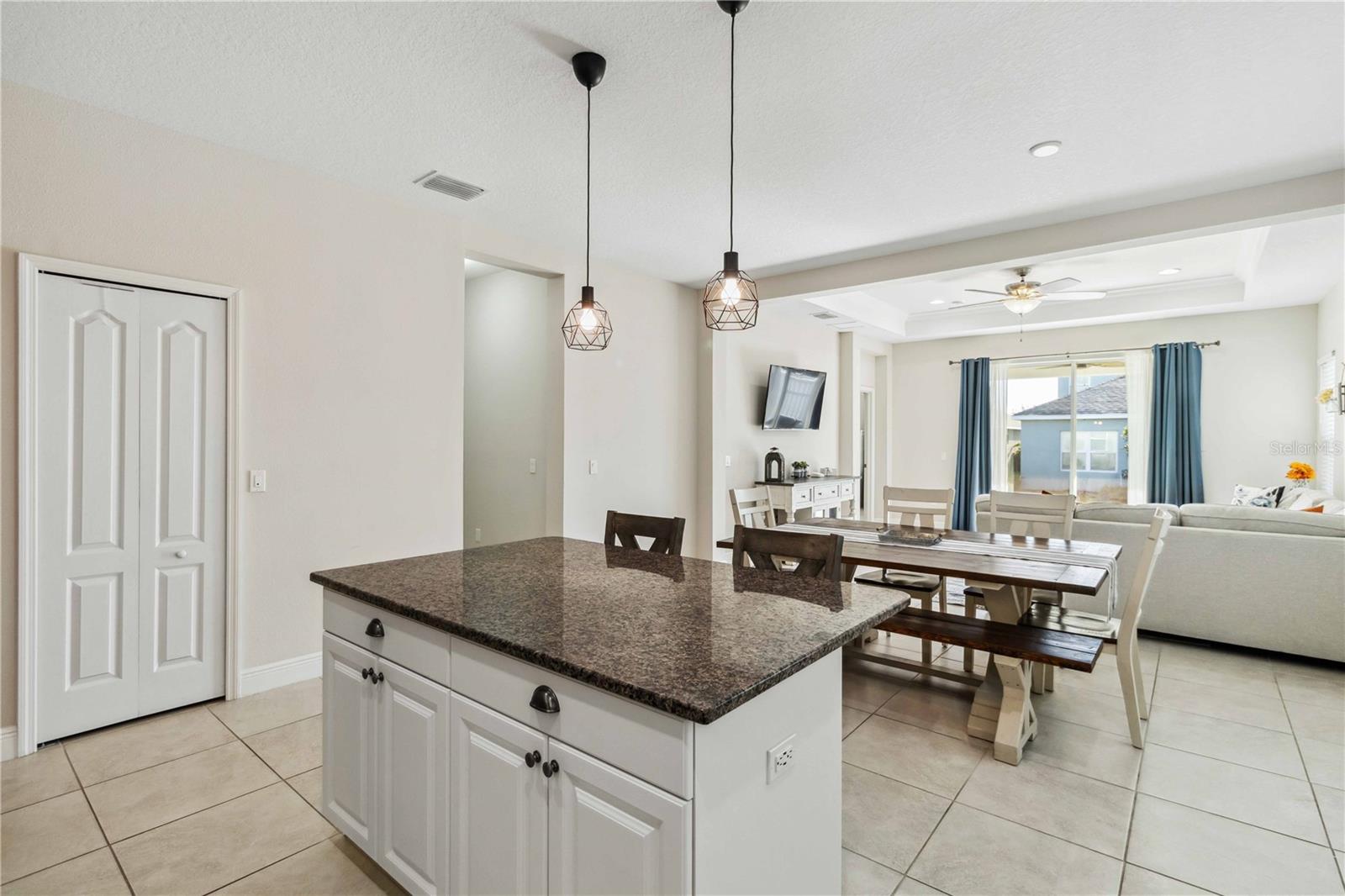 10931 BLUE MAGNOLIA LN, PARRISH, FL, 34219