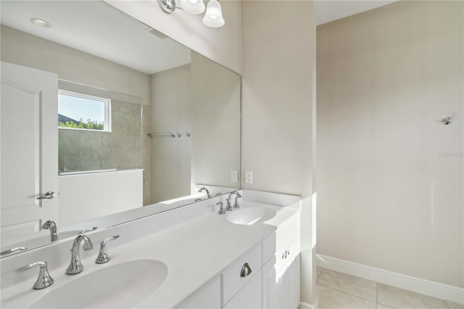 10931 BLUE MAGNOLIA LN, PARRISH, FL, 34219